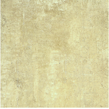 Tortora