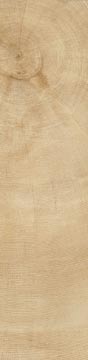 heartwood